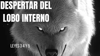 Leyes siguientes para despertar tu lobo interno y tu vida financiera💀🔥