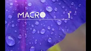 Macro-1. Deep  mind