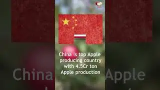 Apple Production - Import and Export in Top Countries | Cokion