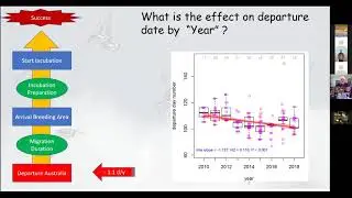 Ken Gosbell: Insights from 10 years of geolocator studies in Australia, reference to Ruddy Turnstone