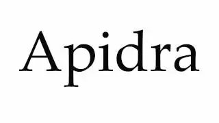 How to Pronounce Apidra