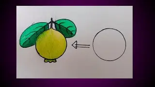 Drawing guava fruit//Guava drawing simple//How to draw guava from circle//Guava drawing easy