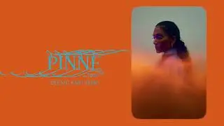 PINNE . പിന്നേ | DEE MC X MC HEAM