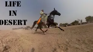 Life in Desert | Mela Aspaan Dera Ghazi Khan.