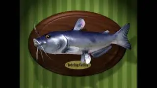 Loren soman 2011 reel