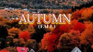 Beautiful Autumn 4K video with Relaxing Piano music and Autumn quotes
