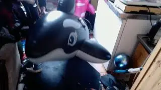 Over Inflating Inflatable Amazon Orca Failed. Inflatable Toy WIN !!! Popping Completed Failed
