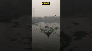 NATURE Can Heal Itself From POLLUTION