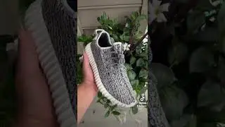 Yeezy 350 turtle dove 🕊️ 😮&zwj;💨🔥
