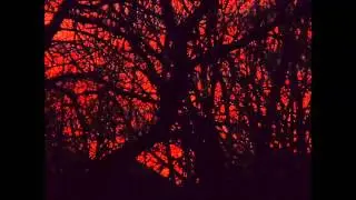 Neonoid & Loonatic- Geplänkel (Minimal Techno)