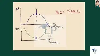 What is the relationship between marginal product and marginal cost? (Hint: Look at the curves.) W