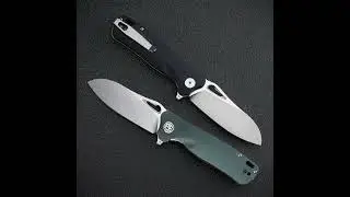 Petrified Fish PF868 Folding Knife D2 Steel G10 Handle Professio