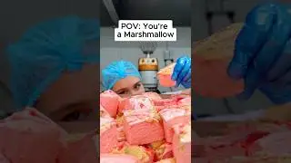 POV: You&rsquo;re a Marshmallow! 💅✨