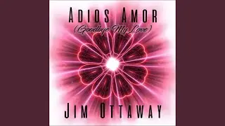Adios Amor (Goodbye My Love)
