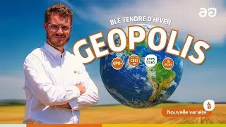 Geopolis, le bl&eacute; tendre &agrave; bon rendement