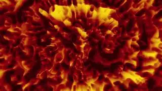 Inferno Liquid Waves &ndash; Hypnotic Fire Motion Background | 4K Loop