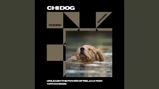 Wagging Tails Tunes, 417 Hz Sound Resonance