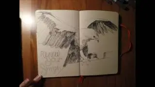 How to draw | African Fishing Eagle | Time lapse