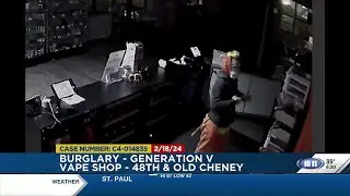 Lincoln Crime Stoppers: Person wearing Tigger costume robs vape shop