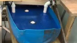Аквапонический вихревой/биофильтр своими руками, обновление системы