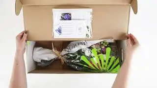 The Freshest Flower Bouquets, designed & Delivered UK Nationwide