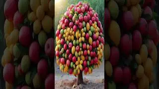 How To Graft A Mango With An Apple To Create The Most Amazing Fruit! #fruit #shorts