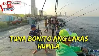TUNA BONITO LAKAS HUMILA