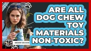 Are All Dog Chew Toy Materials Non-Toxic?