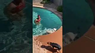 Winter swimming lessons #3