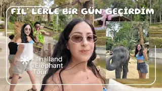 Tayland 'ın Popüler Aktivitesi  &  Fillere yemek yedirdik
