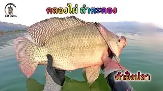 ดำน้ำยิงปลาเขื่อนลำตะคองวันแรก (คลองไผ่)