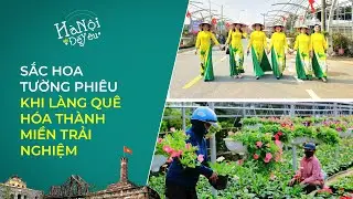 SẮC HOA TƯỜNG PHIÊU – KHI LÀNG QUÊ HÓA THÀNH MIỀN TRẢI NGHIỆM