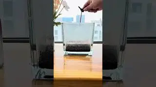 Healing Planting Tutorial is here