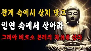 관계의 감옥에서 벗어나라—인연에 맡길 때 비로소 완성되고, 진정한 자유를 산다｜금강경 궁극의 인생 지혜 🪷