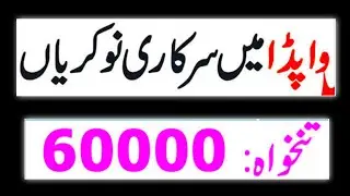 WAPDA Jobs 2024 Online Apply | New Jobs 2024 in Pakistan Today | Today All Jobs Update