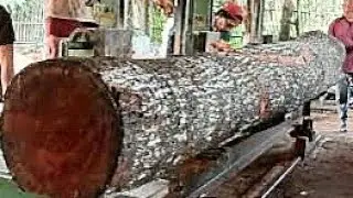 Tree Cutting Techniques That Many People Have Never Seen || The amazing Giant Mahogany Sawmill 