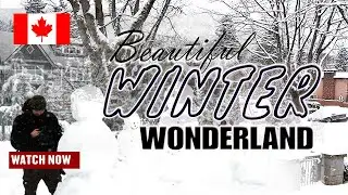 ❄️Winter Wonderland❄️| Vancouver Snow Storm | Metro Vancouver | British Columbia