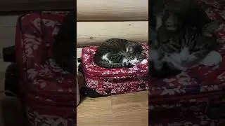 Больше никаких отпусков 😂😂😂.