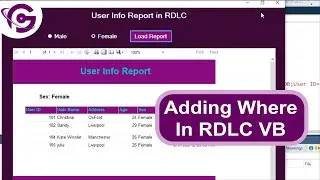 How to Add Where Clause in RDLC Report In VB Source Code | ProgrammingGeek