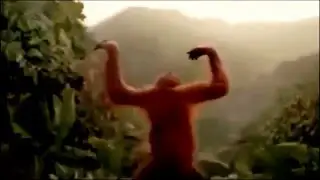 Hoch die Hände Wochenende