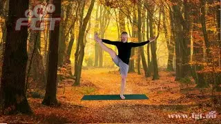 Fitness Gezondheidscentrum Tynaarlo