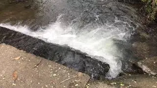 Spring Brook Stream water