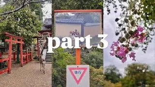 Japan Trip - Fall 2025 | Part 3