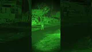 #danishzehan #funny #comedy #horror #bhoot #shortvideo #viral