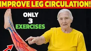 Over 60? Do THESE 3 Chair Exercises for Poor Leg Circulation