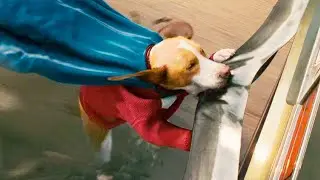 In the future, humans use a SUBSTANCE that turns WEAK DOGS into SUPER SOLDIERS - RECAP