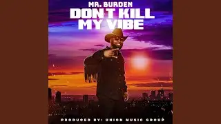 Don't Kill My Vibe