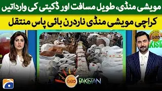 Karachi Cattle Market shifted to Northern Bypass | Geo Pakistan
