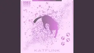 Katfunk