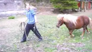 Sune blir longerad :)